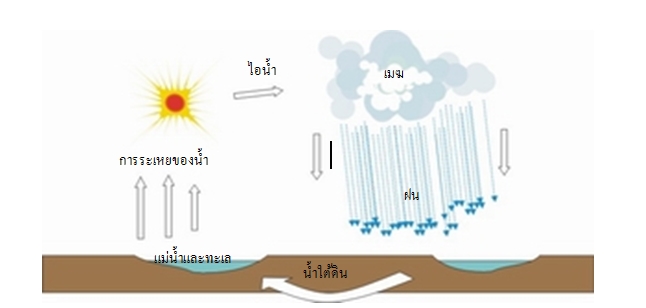 วัฏจักรน้ำ